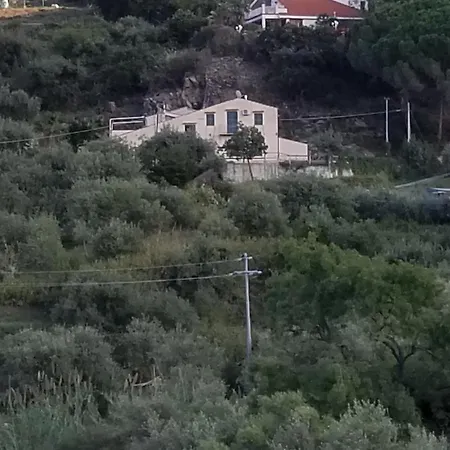 Vintage House
