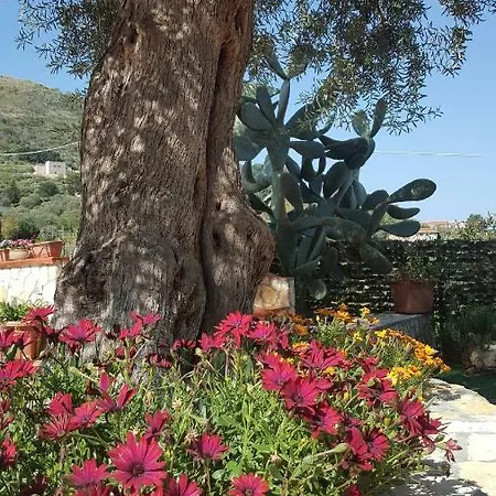 Vintage House Casa vacanze