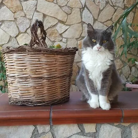 Casa vacanze Vintage House *