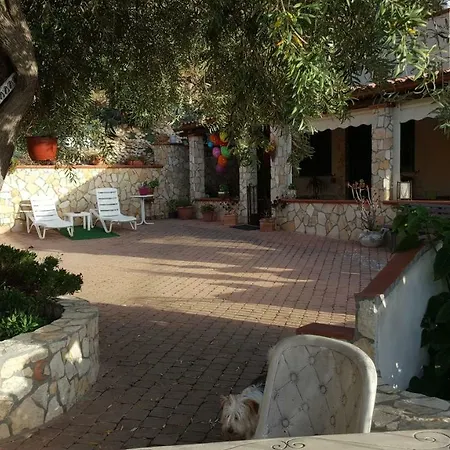 Vintage House Holiday home